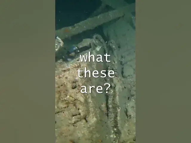 'Video thumbnail for What's Hiding in the Decaying Shipwreck?'