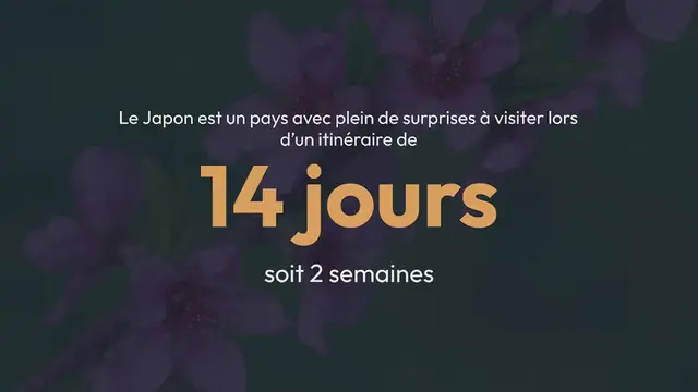 Video thumbnail for 14 jours au Japon, Itinéraire des lieux à visiter en 2 semaines