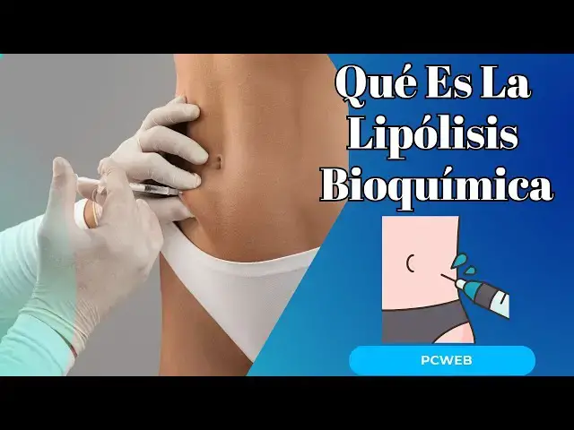 Video thumbnail for Qué Es La Lipólisis Bioquímica: Un Análisis Detallado