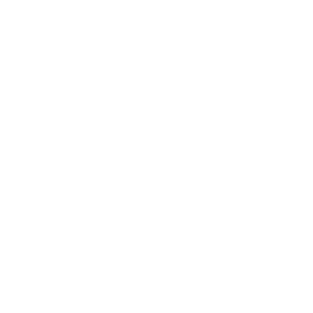 The Vox Logo